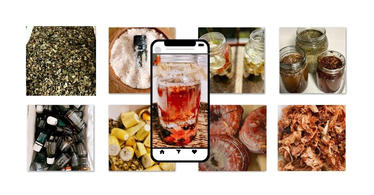 Gut-repair foods: fermented vegetables, sourdough, herbal teas, and fresh produce